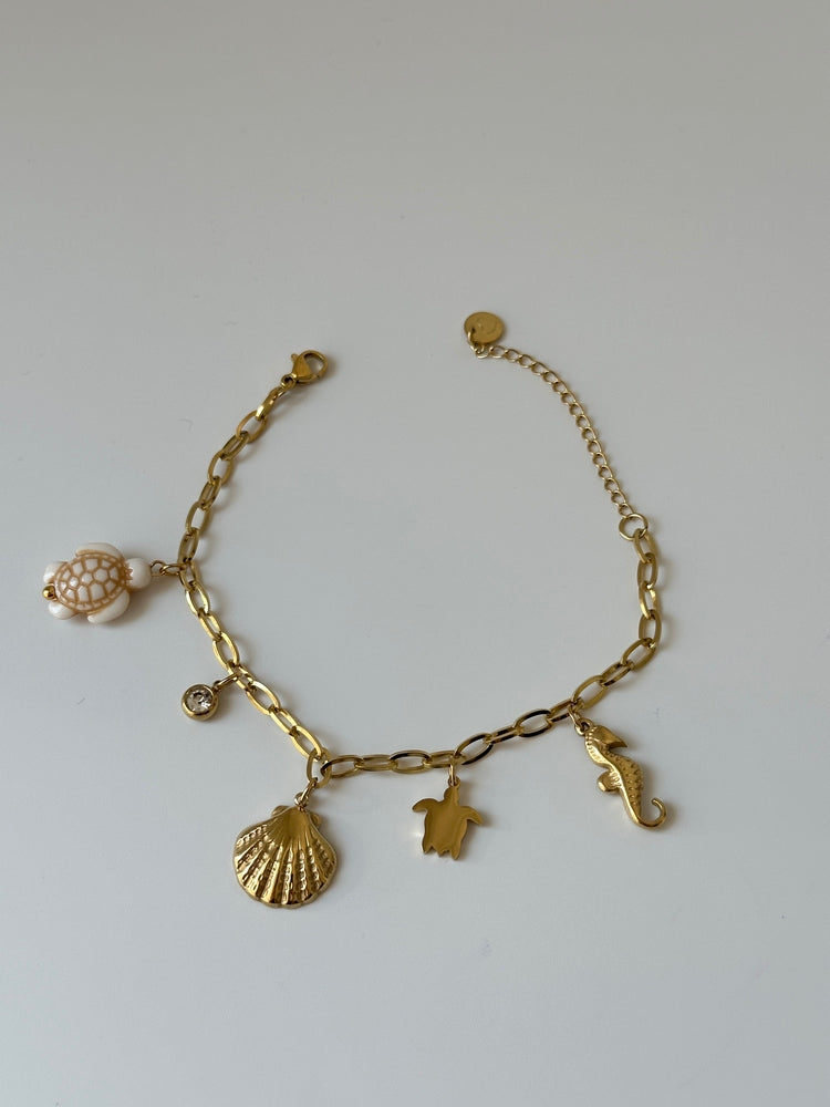 İstiridye Charm Çelik Bileklik