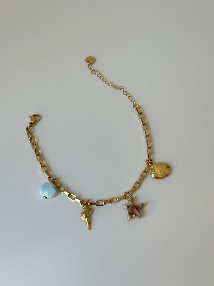 Deniz yıldız charm çelik bileklik